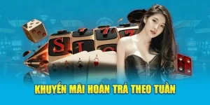 hoàn trả cược hàng tuần